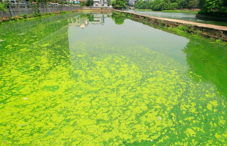 水質(zhì)在線檢測儀